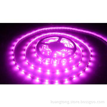 Christmas decoration Waterproof RGB Led Strip Lights 3528SMD, 60pcs/m